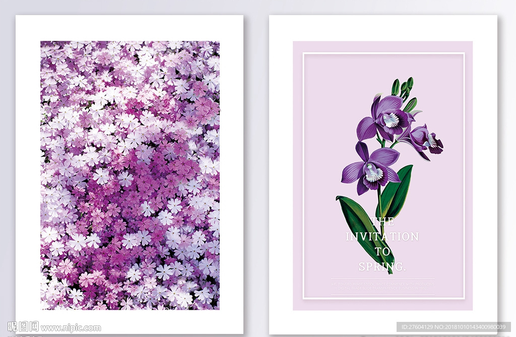 紫色小菊花鲜花装饰画