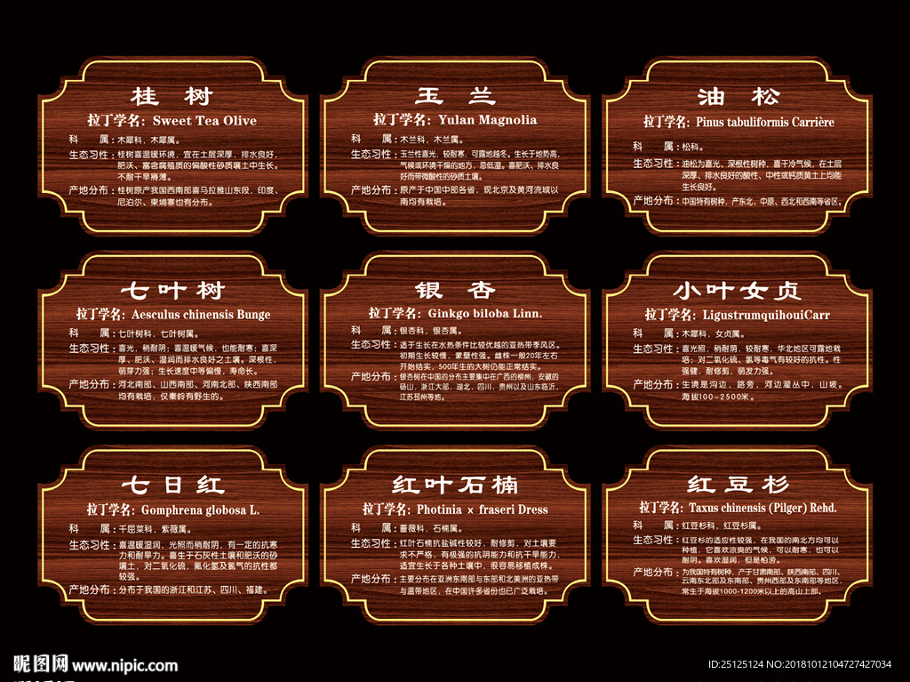 樹名牌