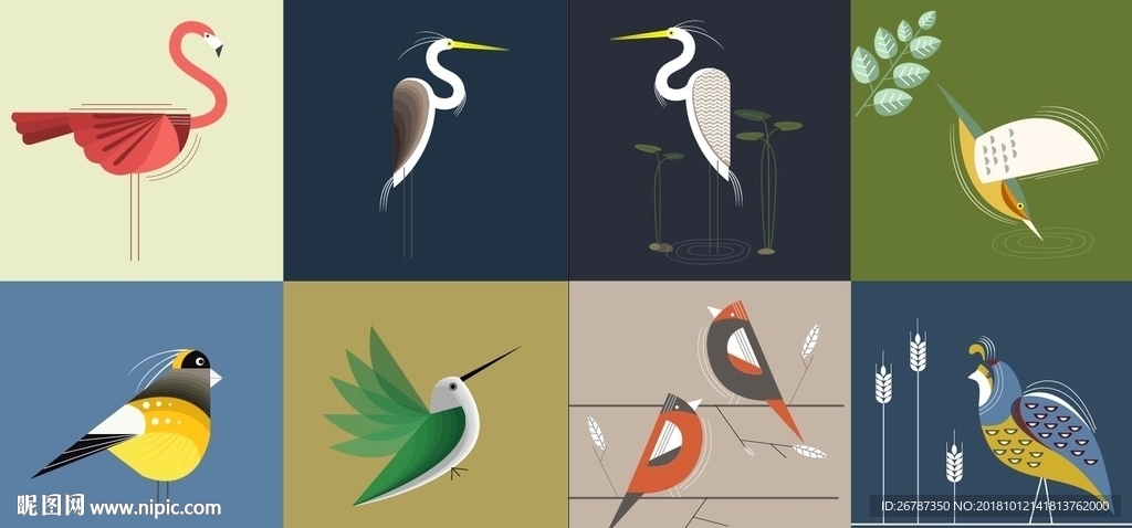 鸟类艺术插画