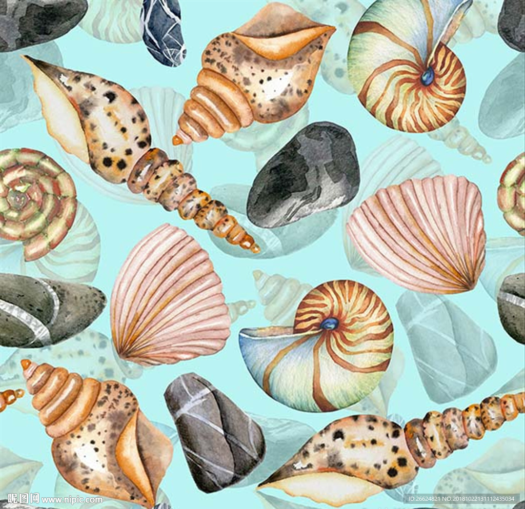 手绘海螺贝壳水彩图案素材