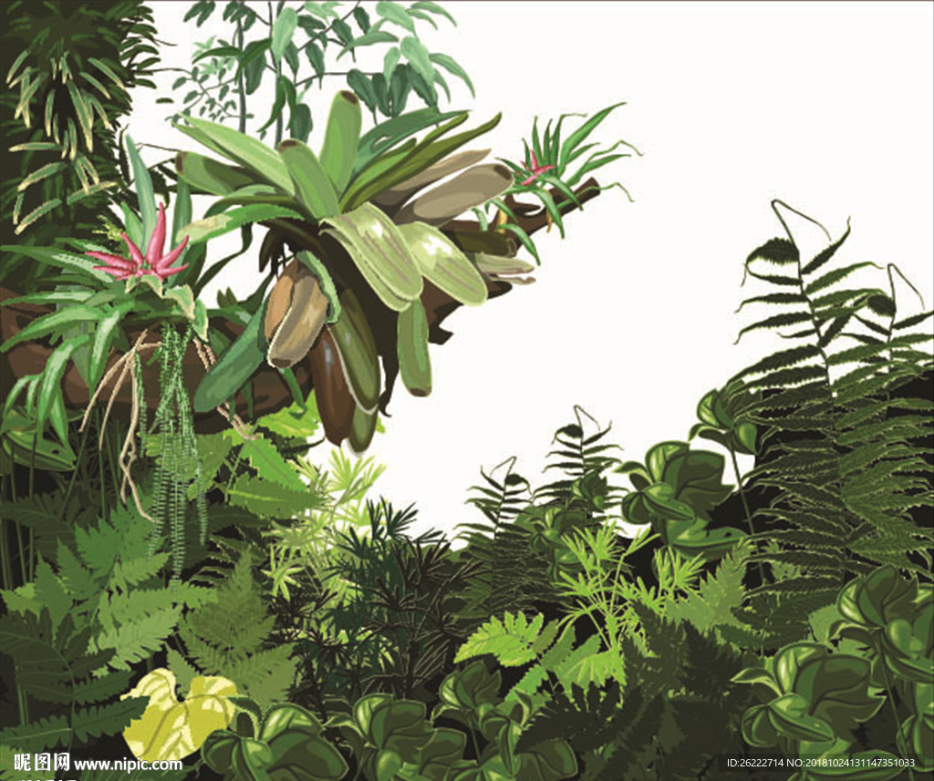 热带植物树林矢量插画
