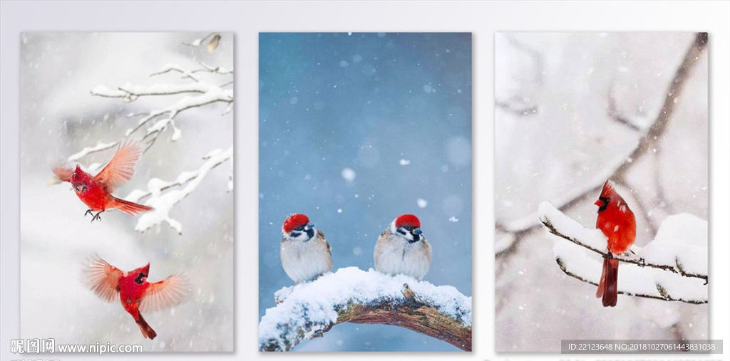 现代冬天雪松红鸟装饰画