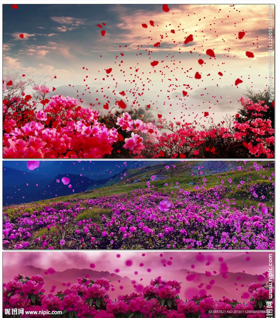 唱只山歌給黨聽歌舞贊美晚會LE