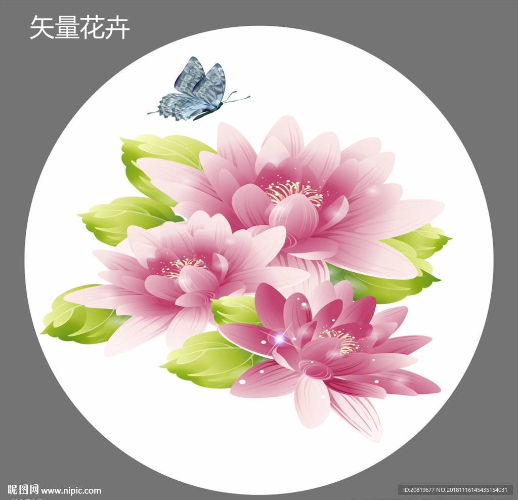 矢量花鳥圖圖片