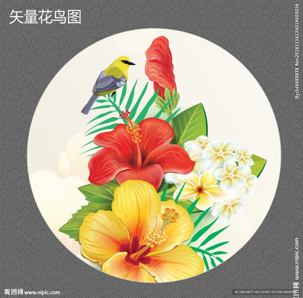 矢量花鳥圖