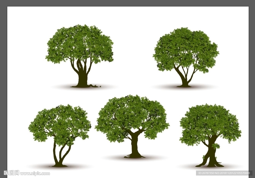 矢量树形设计