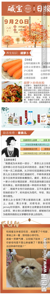 宣傳頁 設計