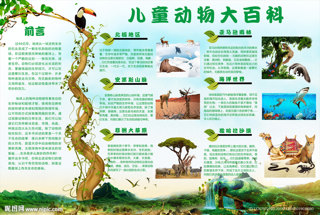 動物大百科 地區(qū)介紹