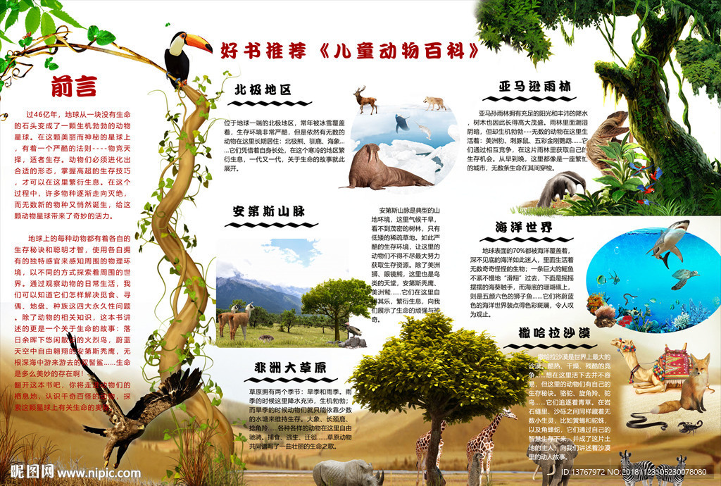 動物百科 動物世界
