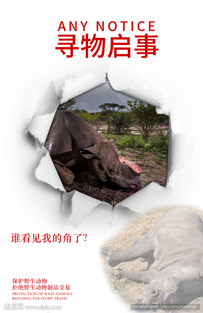 保護野生動物公益畫面