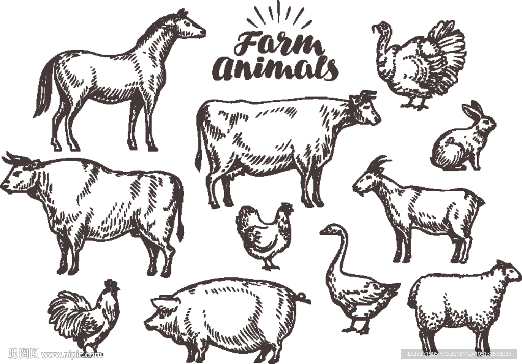 手绘动物矢量图