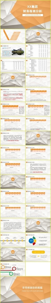大型集團企業財務報表分析報告