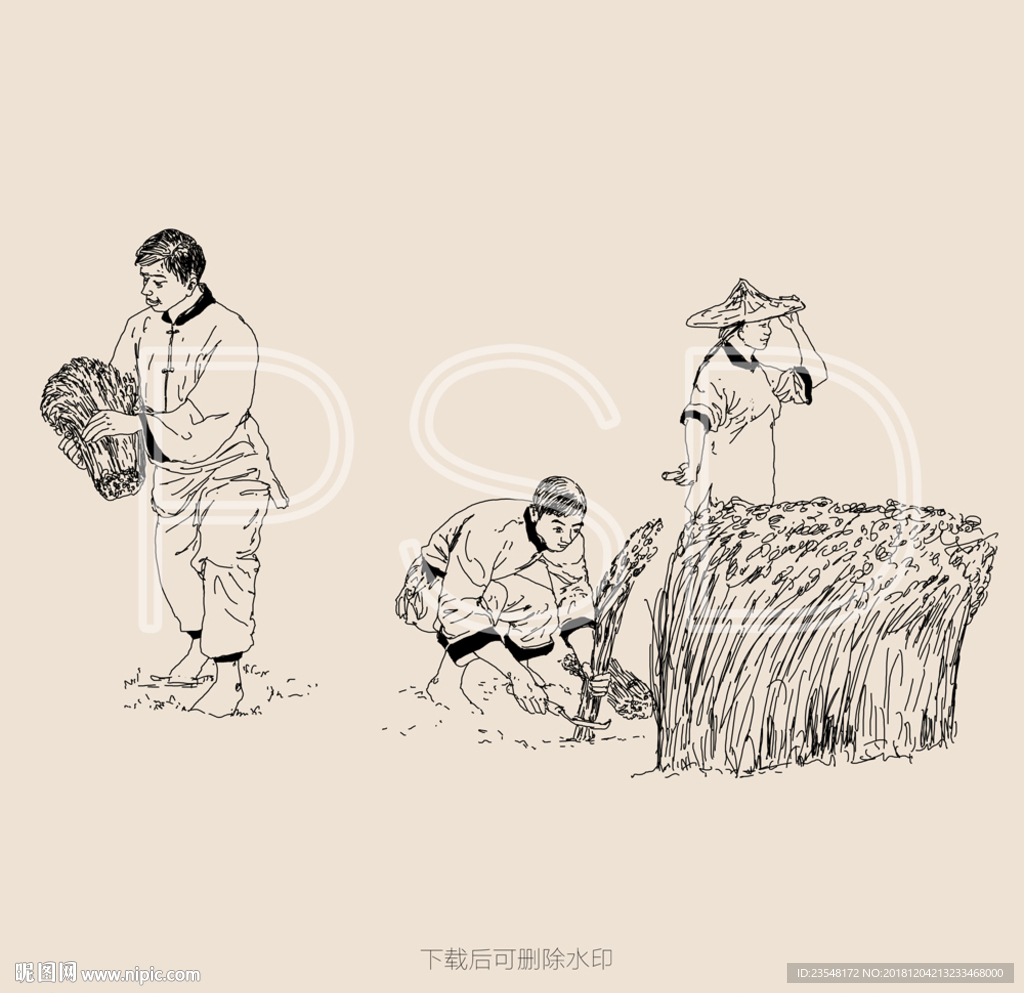 稻田|插画|商业插画|wurara - 原创作品 - 站酷 (ZCOOL)