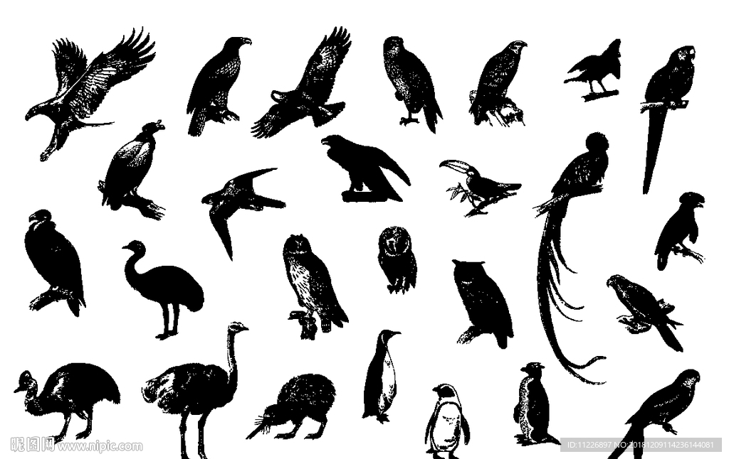 鸟类图标logo