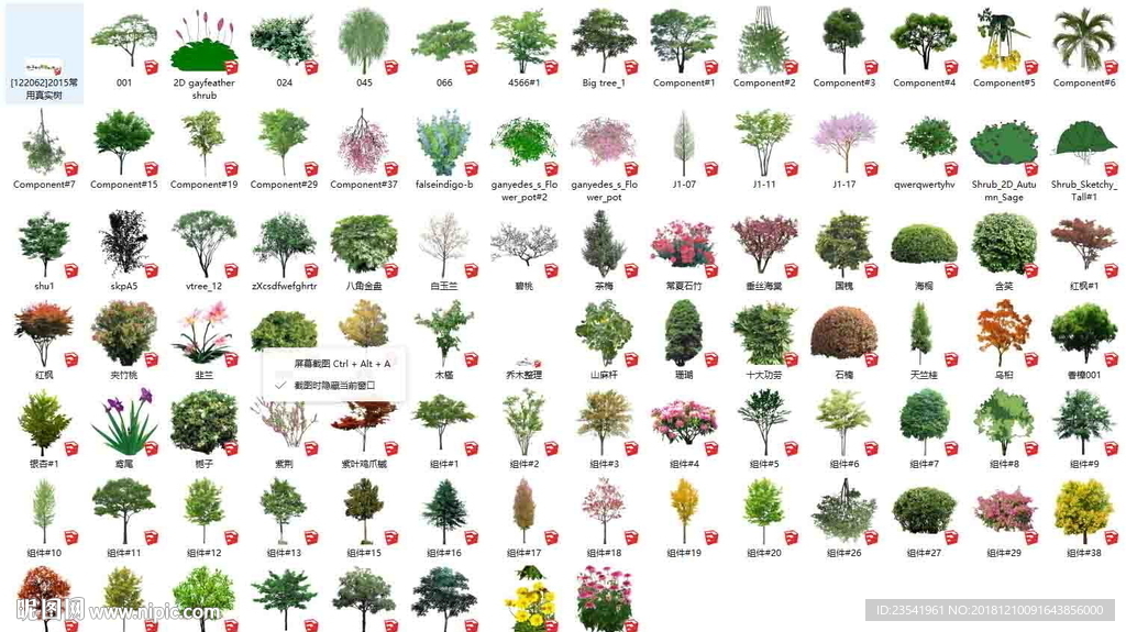 SU真實植物素材