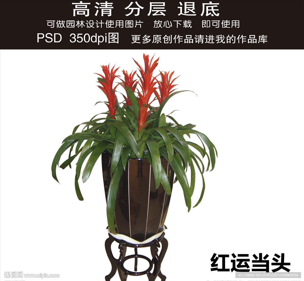 園林綠化psd素材