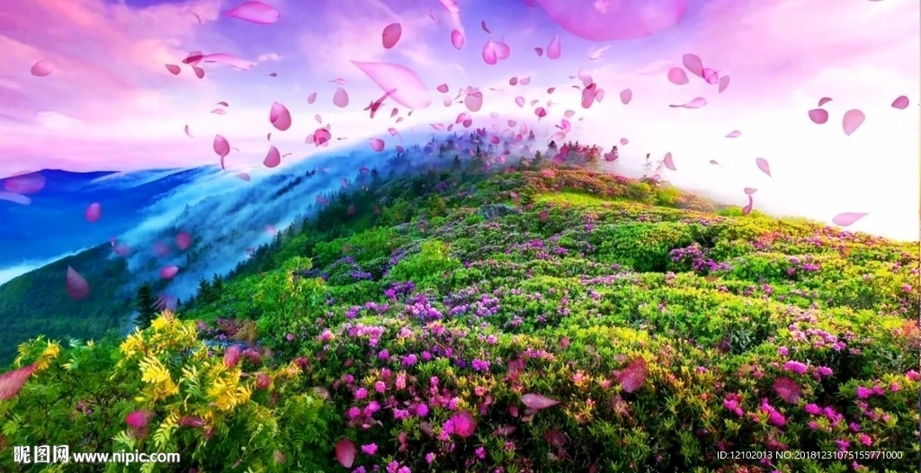 光榮與夢想歌曲MVLED背景