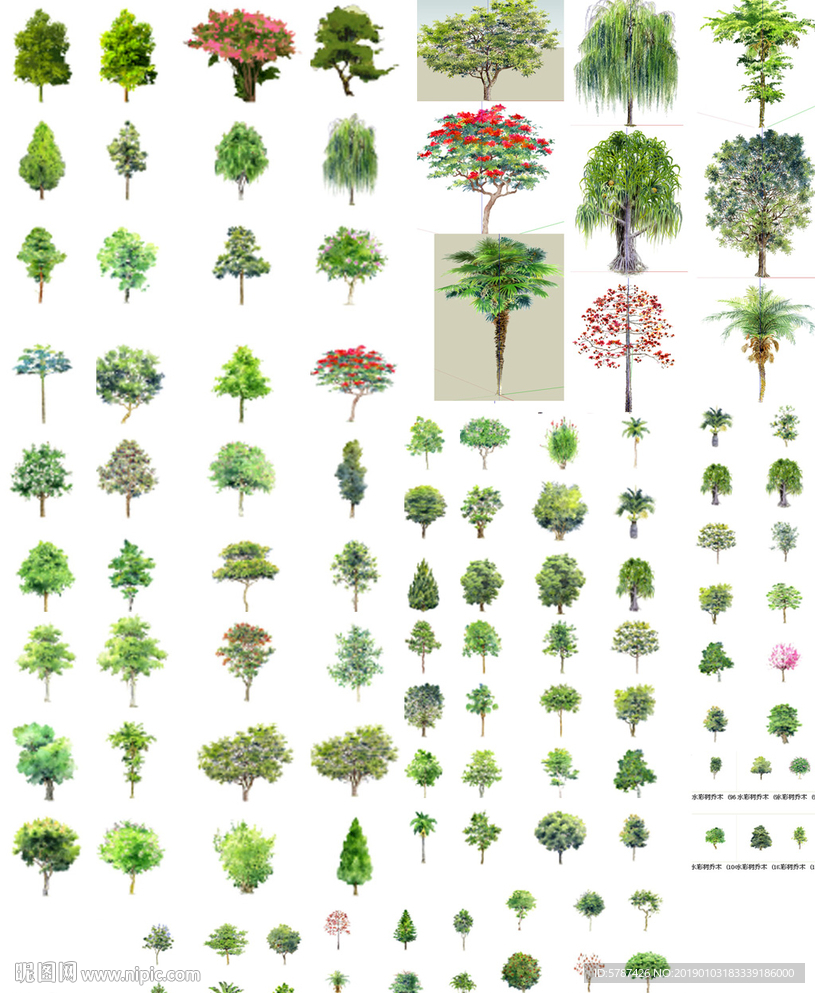 2D园林树木图片