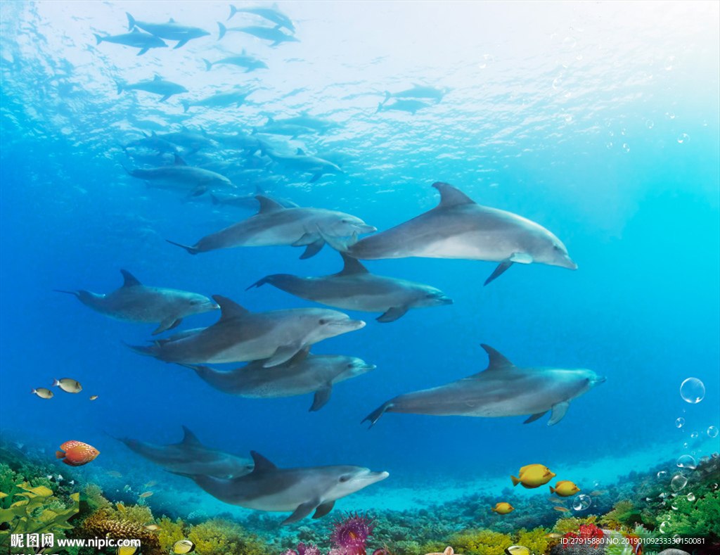 3D海底世界海豚背景墙