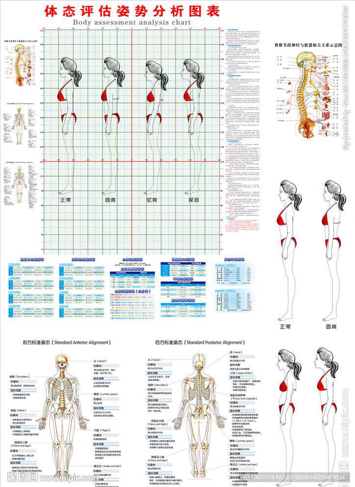 体态评估姿态表图片