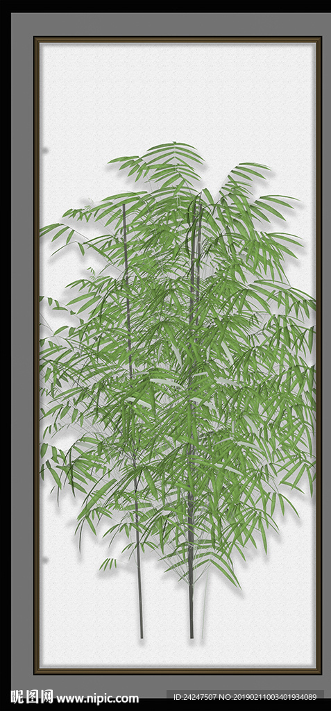 绿竹