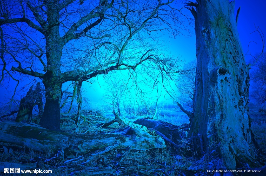 森林樹木樹枝場景制作