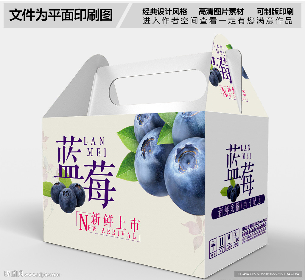 高档蓝莓包装设计