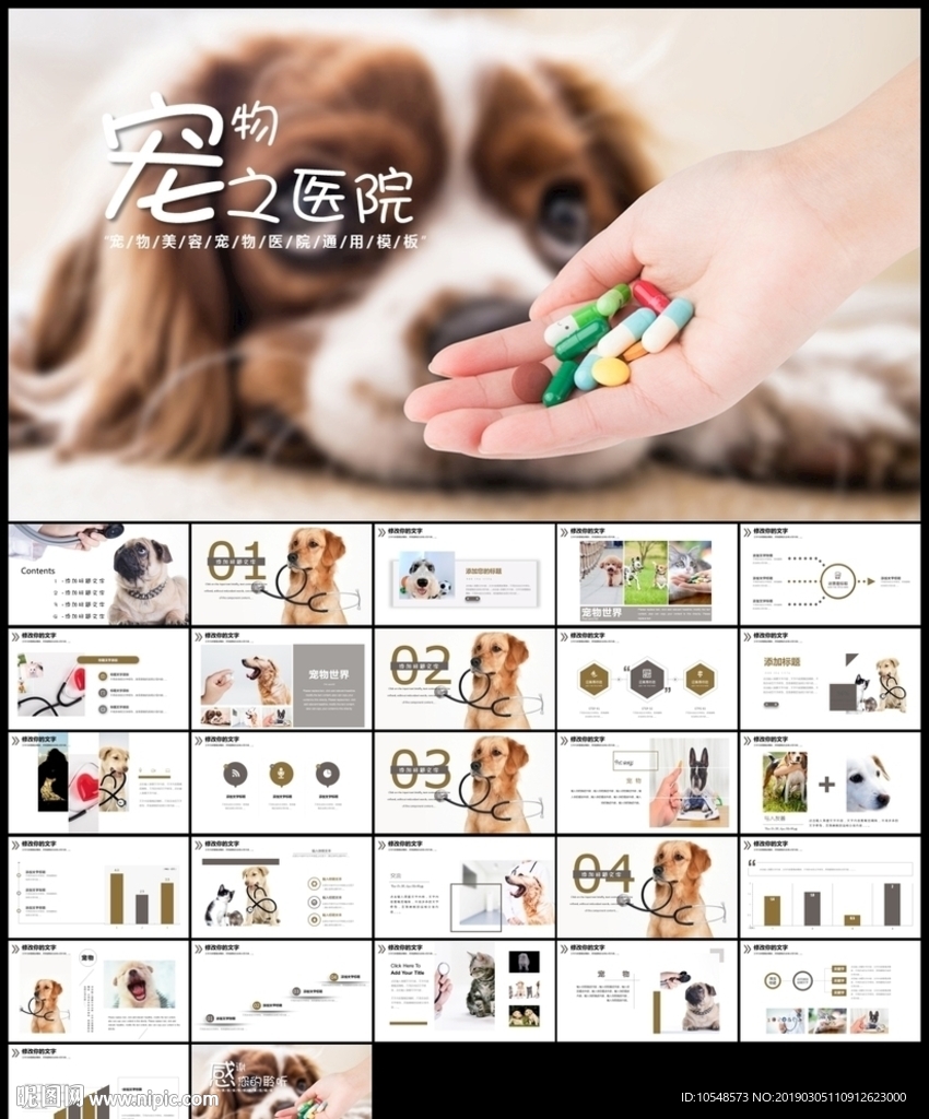寵物醫院宣傳獸醫工作報告PPT
