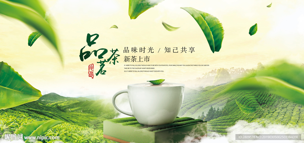 新茶上市 绿茶
