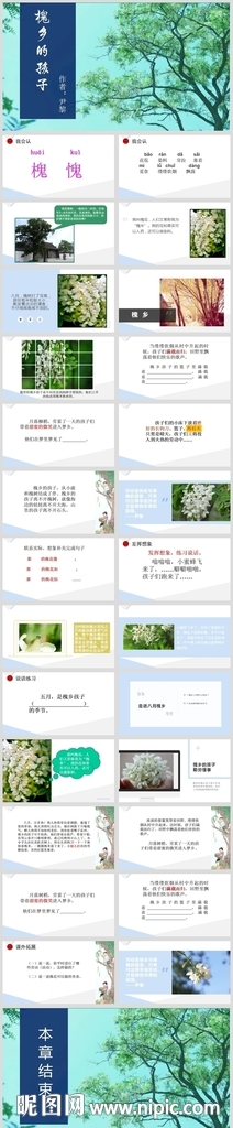 小學語文課文《槐鄉的孩子》教育