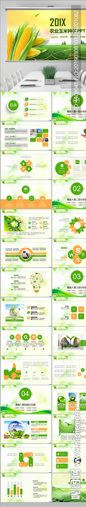 農(nóng)業(yè)玉米種子新農(nóng)村動態(tài)PPT