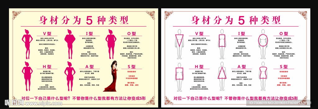 身材類型