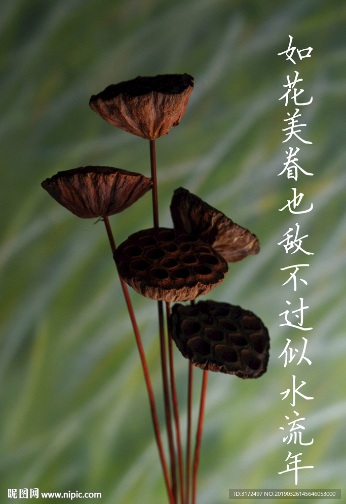 似水流年