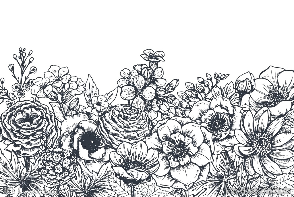 手绘花卉植物插画插图