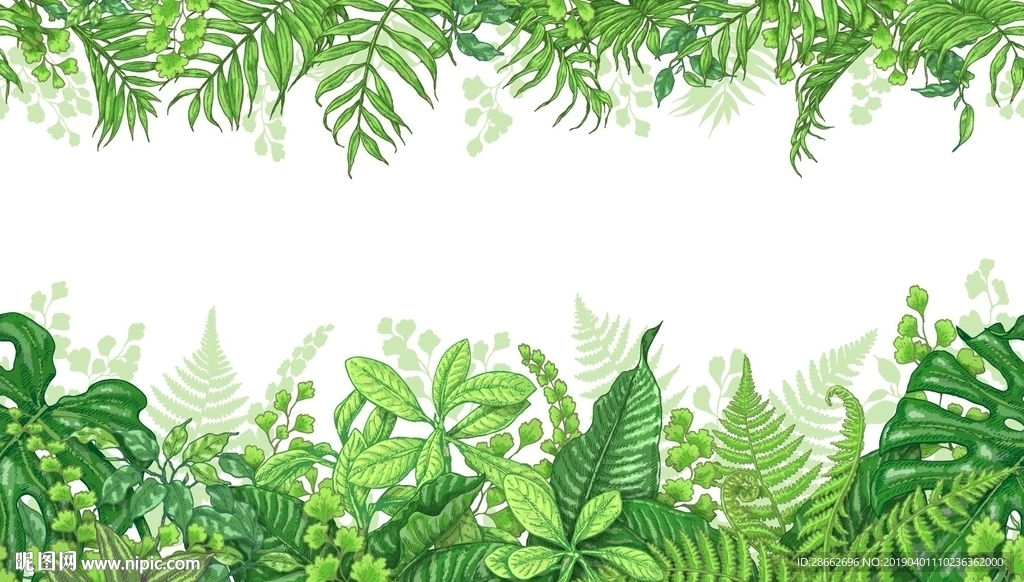 绿色植物树叶插画插图