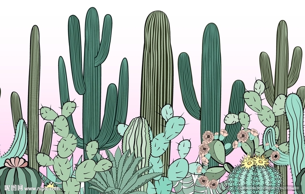 仙人掌植物插畫插圖