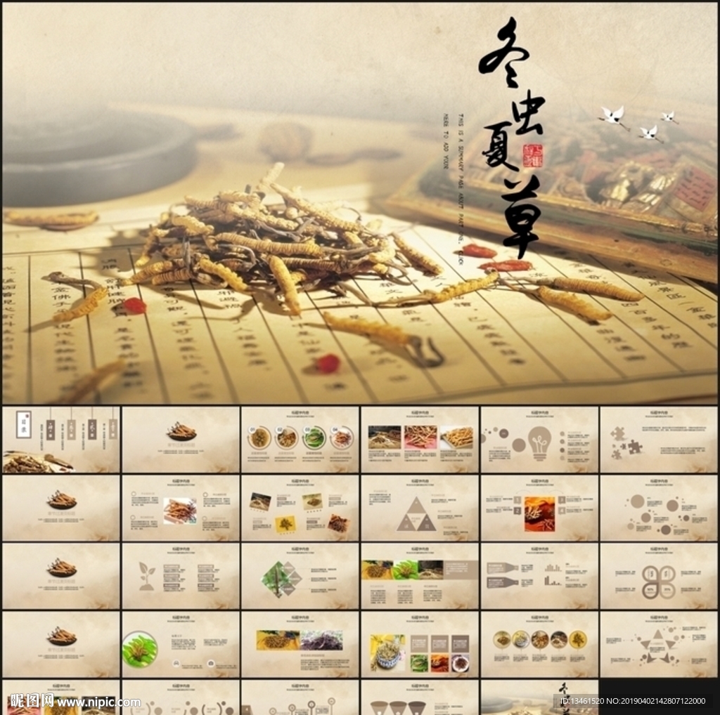 冬蟲夏草PPT模板
