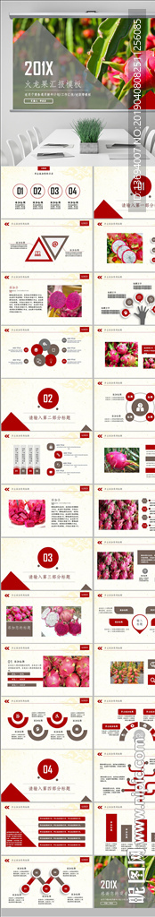 簡約火龍果促銷模板PPT