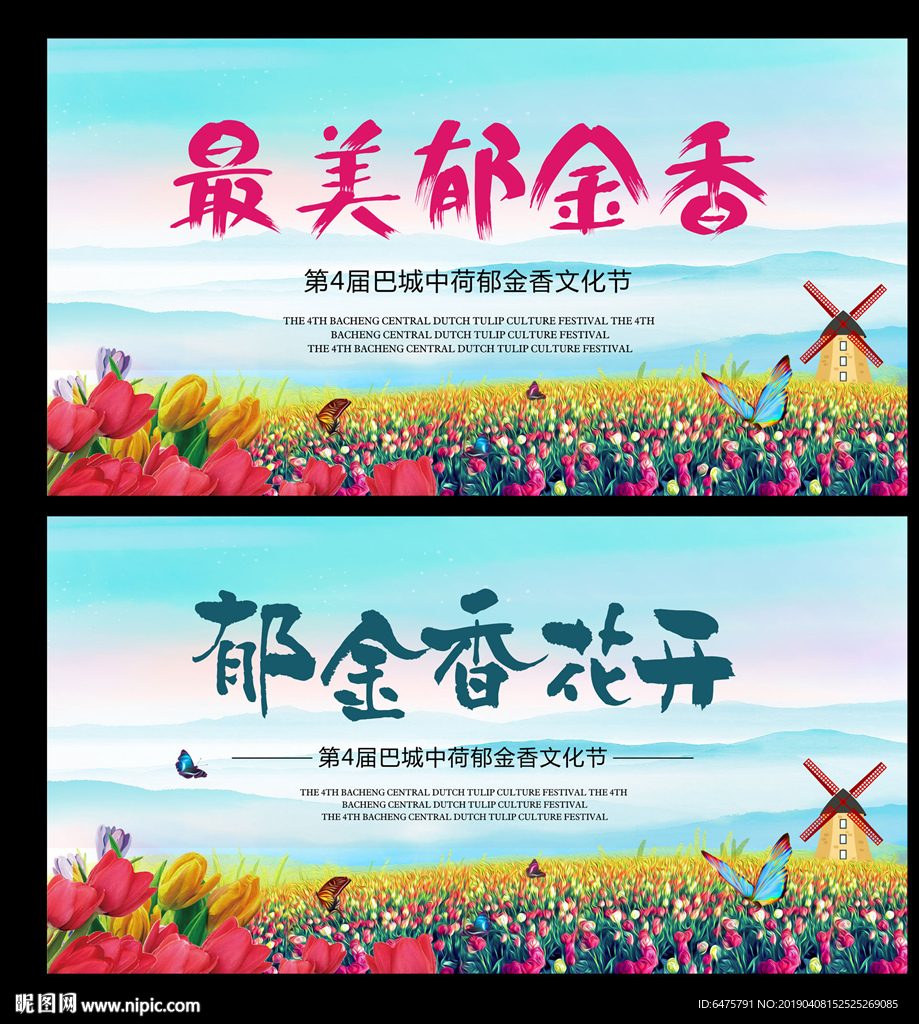 郁金香