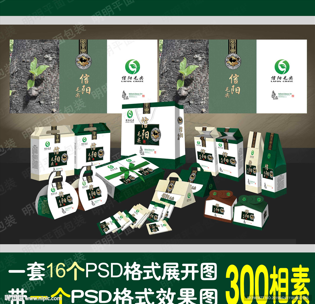 信陽毛尖 （白色底新版）