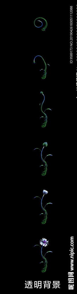 花朵綻放