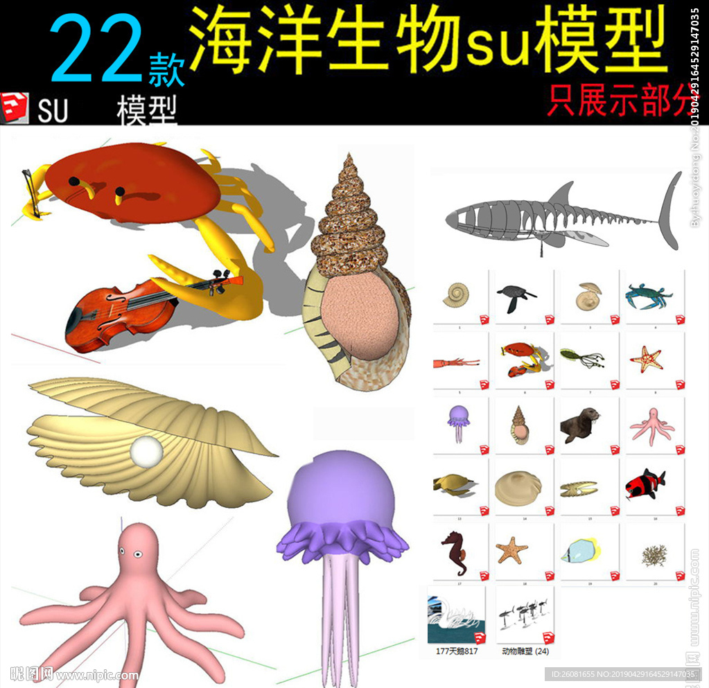 海洋動(dòng)物模型