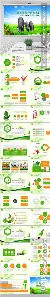 生態農業土豬養殖工作動態ppt