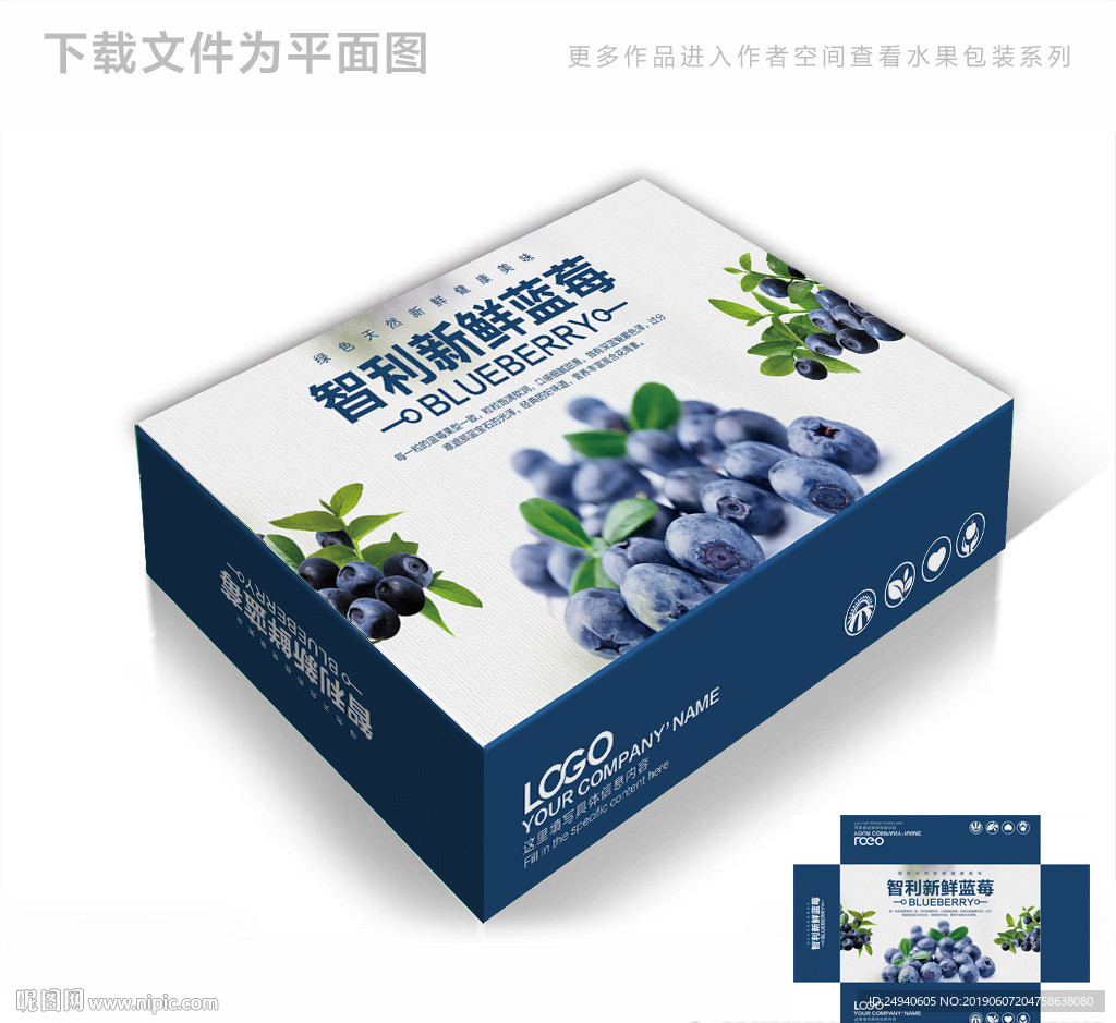 进口高档蓝莓包装箱包装礼盒设计