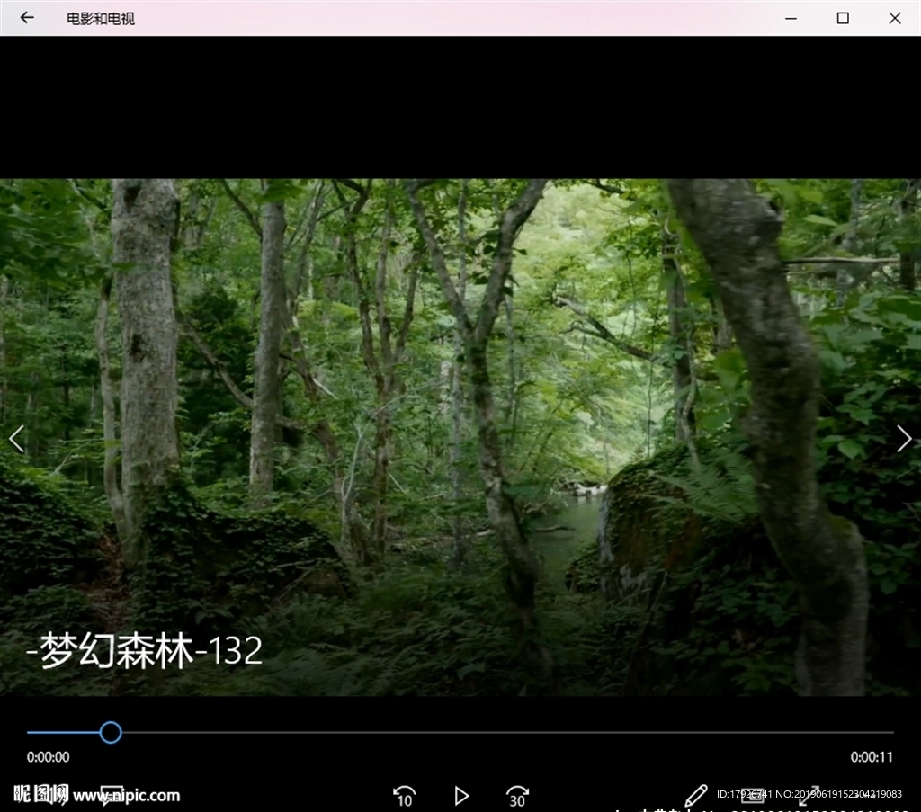 森林