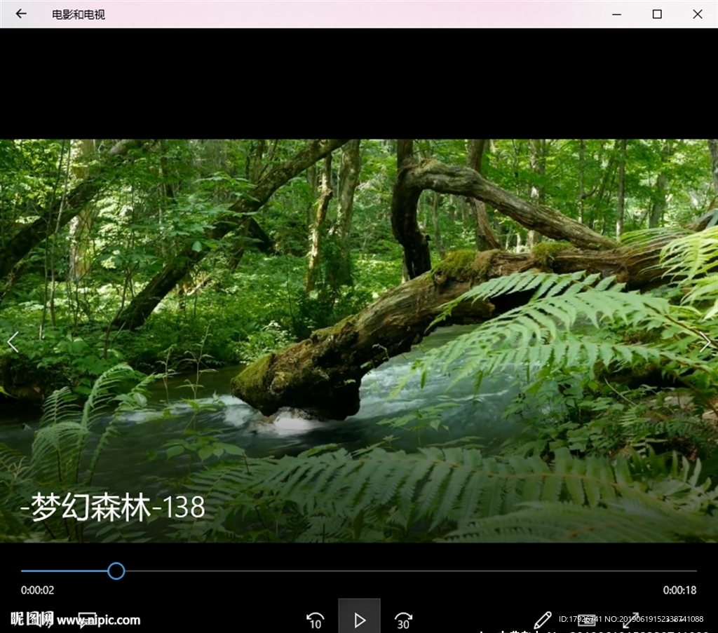 森林溪流