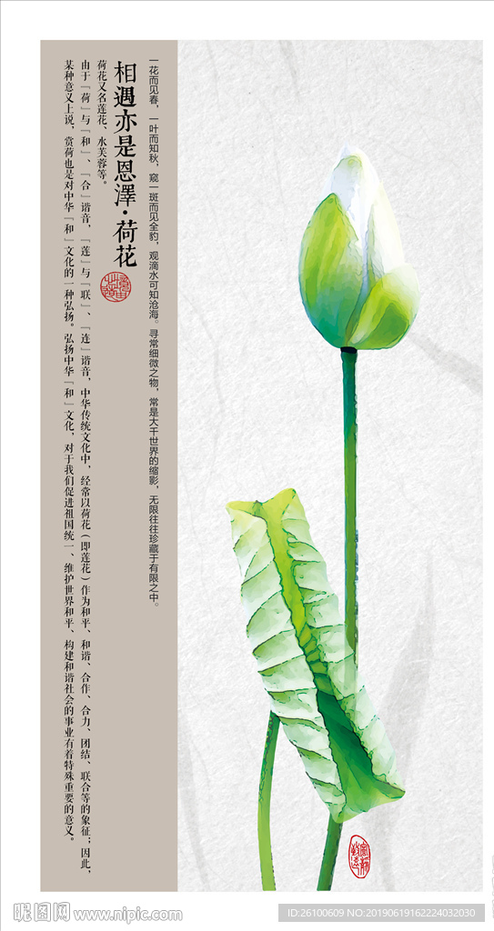 相遇亦是恩澤·荷花