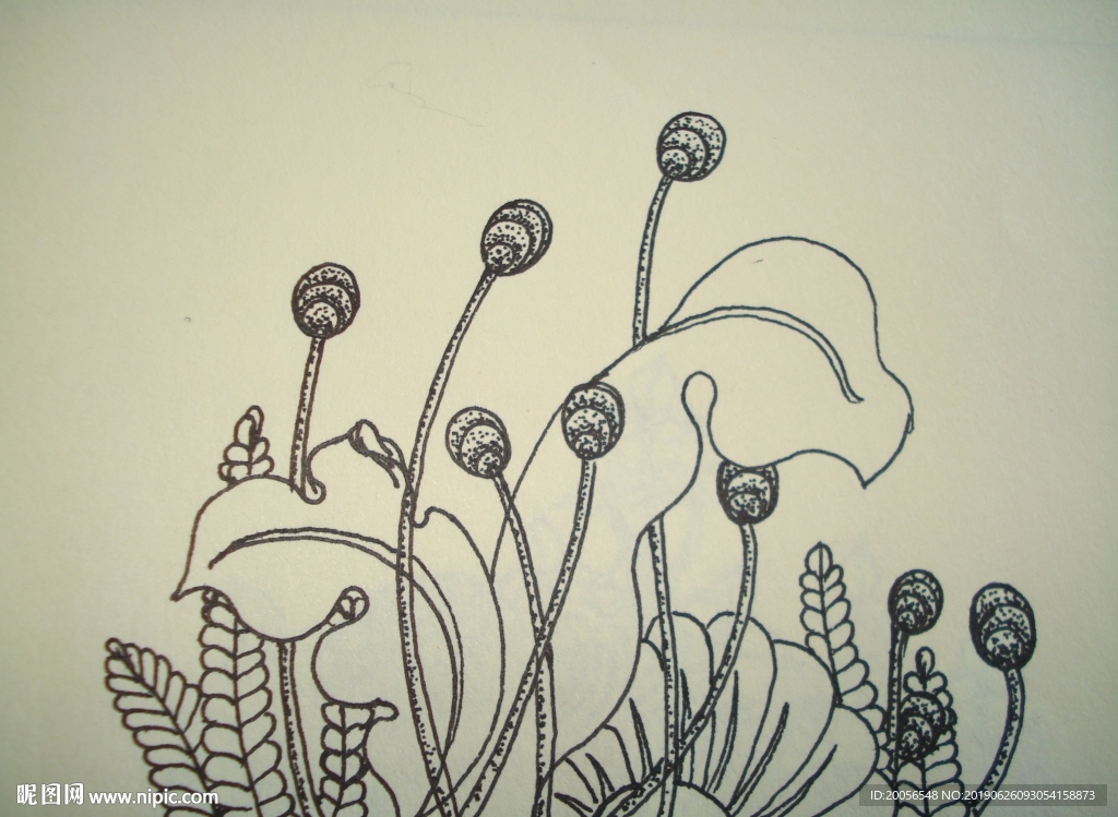 繡藝 布藝 描繪 植物 自然