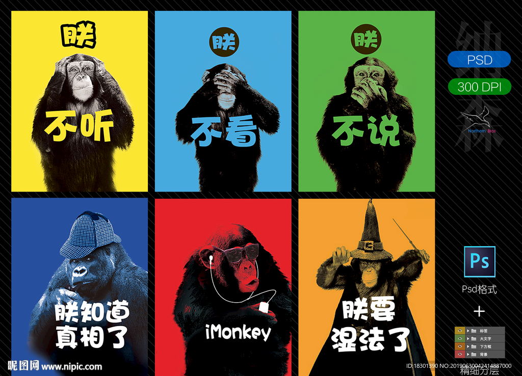 猩猩創(chuàng)意插畫