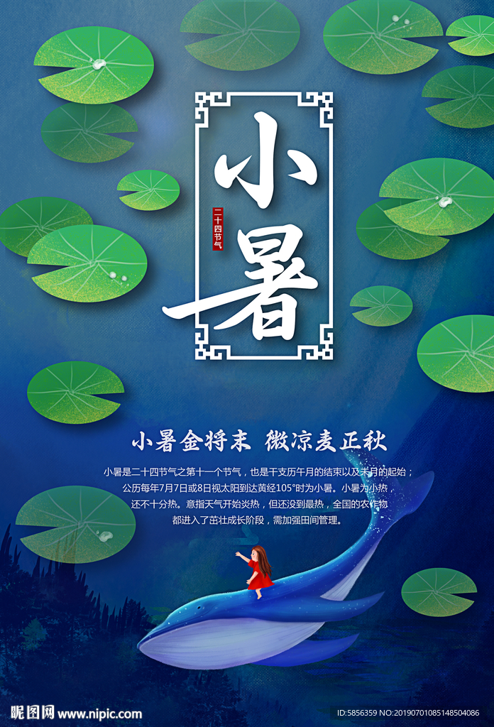 中国传统节气之小暑宣传海报